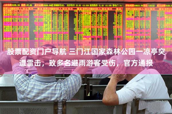 股票配资门户导航 三门江国家森林公园一凉亭突遭雷击，致多名避雨游客受伤，官方通报
